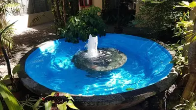 a fountain in a blue pond in a garden at Hotel Villa Tournon in San José