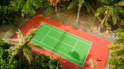 an overhead view of a tennis court with palm trees at Barceló San José in San José