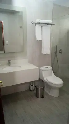 a bathroom with a sink and a toilet and a mirror at Hotel Palma Real in San José