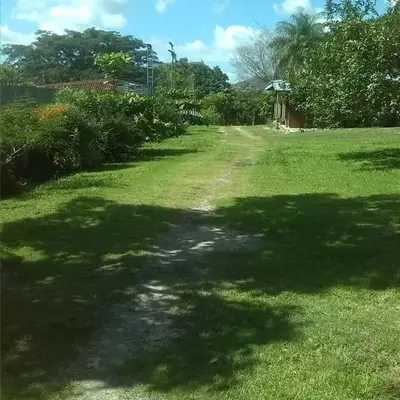 Tiquisia Lodge