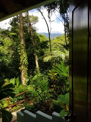 a view of a forest from a window of a house at Villas en el Bosque in Ojochal