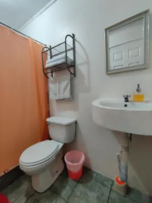 a bathroom with a toilet and a sink at Cabinas Maritza in Quebrada Ganado