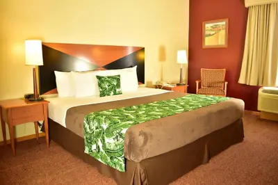 a hotel room with a large bed and a chair at Sleep Inn Paseo Las Damas in San José
