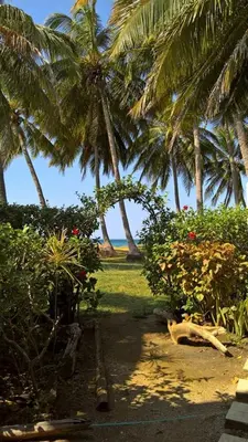 a group of palm trees on a beach with grass and flowers at Plumita Pacifica in Playa Junquillal