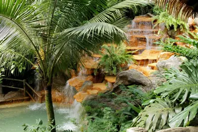 a waterfall in a garden with a palm tree at The Springs Resort & Spa at Arenal in Fortuna