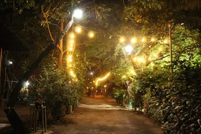 a street lit up at night with lights on trees at Hostalito El Greco in Bagaces