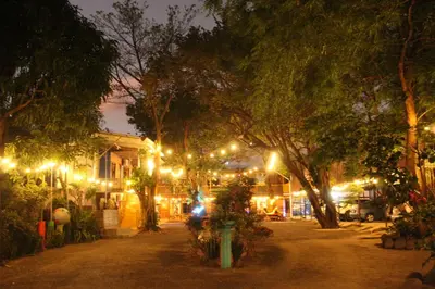 a street lit up at night with trees and lights at Hostalito El Greco in Bagaces