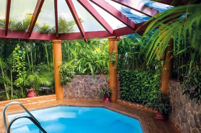 a swimming pool in a garden with an umbrella at Occidental Papagayo - Adults Only All Inclusive in Papagayo, Guanacaste