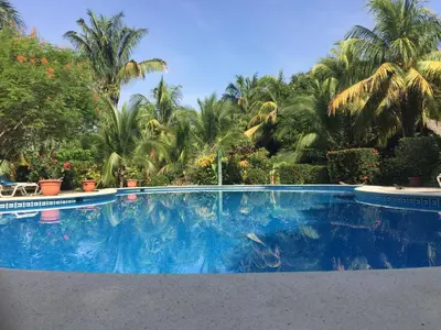 a large swimming pool with palm trees in the background at Mal Pais Surf Camp in Santa Teresa Beach