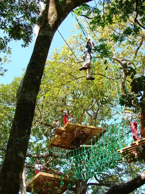 a group of people on a zip line in the trees at Adventure Park & Hotel Vista Golfo in Tajo Alto