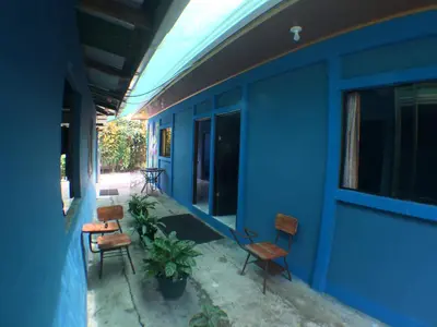 a blue building with chairs and plants on a porch at Green Macaw Hostel in Tortuguero
