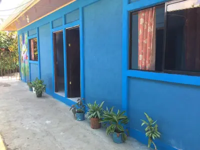 a blue building with potted plants in front of it at Green Macaw Hostel in Tortuguero