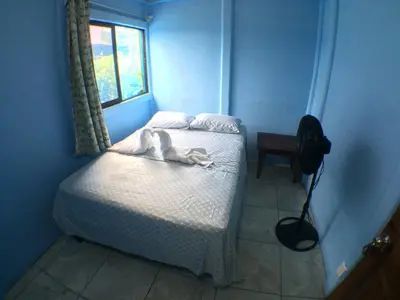a dog laying on a bed in a bedroom at Green Macaw Hostel in Tortuguero