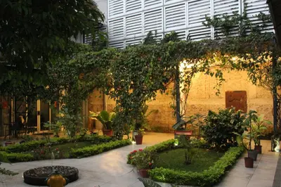 a garden with trees and plants in a building at Cando Living Apartments in Central Avenue in San José