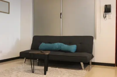 a living room with a couch with a blue pillow at Cando Living Apartments in Central Avenue in San José