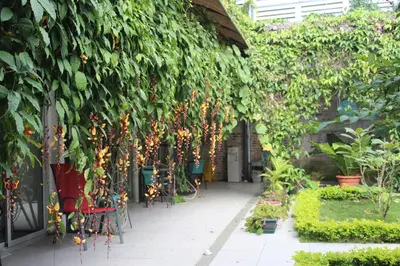 a garden with a bunch of plants growing on a wall at Cando Living Apartments in Central Avenue in San José
