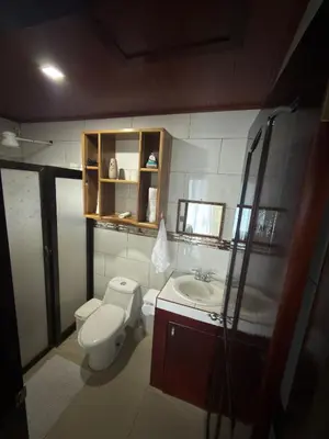 a small bathroom with a toilet and a sink at Las Pavitas Arenal Suites in Fortuna
