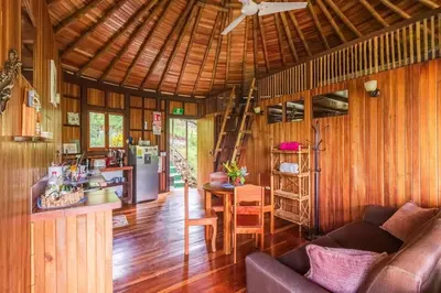 a living room with a couch and a kitchen at Junglebungalow in Platanillo