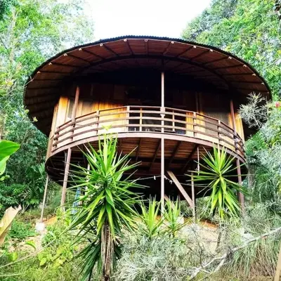 Junglebungalow