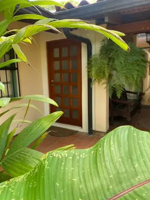 a front door of a house with green plants at Tierra Magica B&B and Art Studio in San José