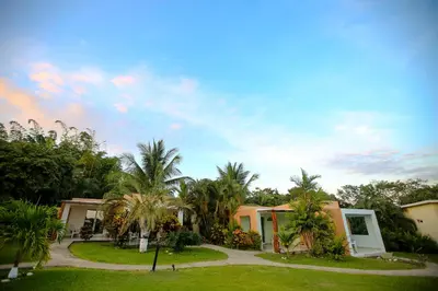 a house with palm trees in front of it at Casitas Sollevante Boutique Hotel in Montezuma