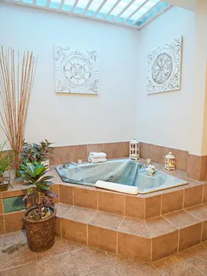 a jacuzzi tub in a room with plants at Fleur de Lys in San José