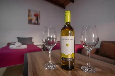 a bottle of wine and two wine glasses on a table at Hotel las Ardillas Monteverde in Monteverde Costa Rica