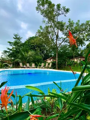 a blue swimming pool with chairs and plants at Villa Tucan in Fortuna