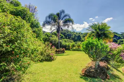 a garden with palm trees and green grass at Hotel Mango Valley in Grecia