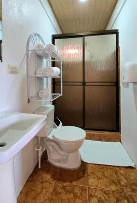 a bathroom with a toilet and a sink and a shower at Casa Cattleya - Monteverde, Costa Rica in Monteverde Costa Rica