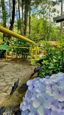 a pile of purple flowers sitting next to a yellow pole at Vista Turrialba Lodge in Turrialba