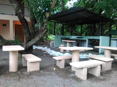 a group of picnic tables and benches under a tree at Mapi's Cabins in Paquera