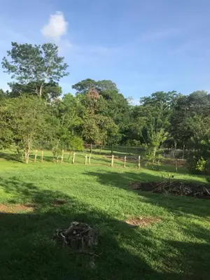 Gallery image of Villa Segura Manuel Antonio, Quepos in Quepos