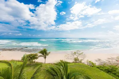 a beach with palm trees and the ocean at JW Marriott Guanacaste Beach Resort in Tamarindo