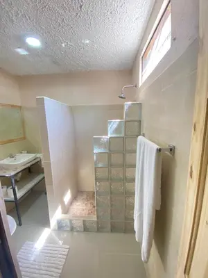 a bathroom with a shower with a toilet and a sink at Agutí Apartment in Manuel Antonio