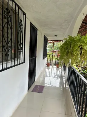 a hallway of a house with black doors and plants at Agutí Apartment in Manuel Antonio