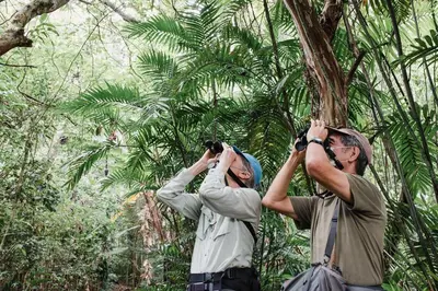 two people taking pictures of a tree in the forest at Valle Escondido Nature Reserve Hotel & Farm in Monteverde Costa Rica