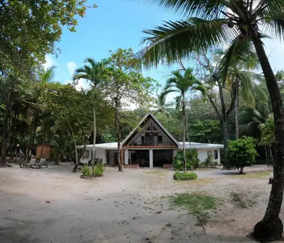a house in the middle of a forest with palm trees at Casa Cecilia Beach Front in Santa Teresa Beach