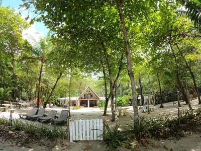 a cabin in the woods with chairs and trees at Casa Cecilia Beach Front in Santa Teresa Beach