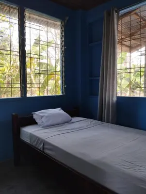 a bed in a blue room with two windows at Chill-Inn Nosara in Nosara