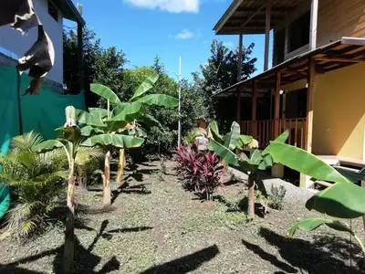 a garden in front of a house with plants at Chill-Inn Nosara in Nosara