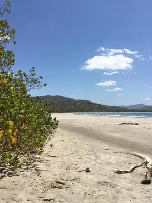 a sandy beach with trees on the side of it at Casa Taupe in Carrillo