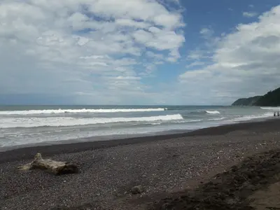 a log on a beach with the ocean at Villas Paraíso Jacó B20 in Jacó