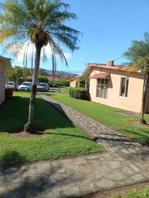 a palm tree next to a house and a sidewalk at Villas Paraíso Jacó B20 in Jacó
