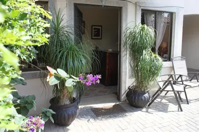 a group of potted plants sitting on a patio at Hotel Santa Maria Inn in Alajuela City