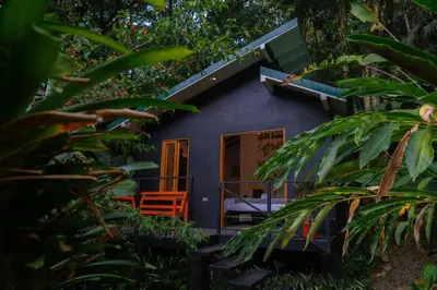 a house in the middle of a forest at Jardines Secretos in Rivas