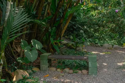 a wooden bench sitting in the middle of a garden at Jardines Secretos in Rivas