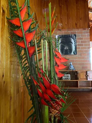 a vase with red flowers in front of a fireplace at Jardines Secretos in Rivas