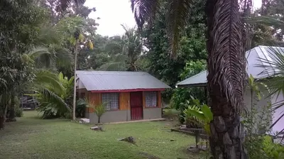 a small house in the middle of a forest at Mapi's House in Paquera
