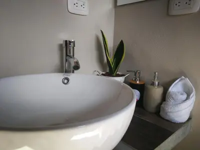 a white sink in a bathroom with a plant at Apartamento Lantana ,Monteverde con Aire Acondicionado y Lavanderia in Monteverde Costa Rica